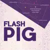 Flash Pig - Flash Pig